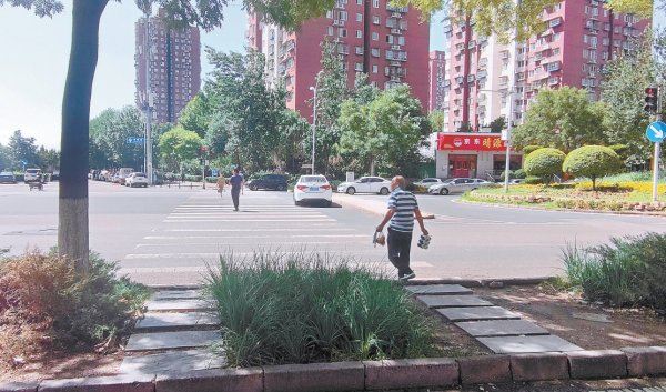 申宝配资 朝阳北路与常新路交叉口绿化带挡住人行横道了