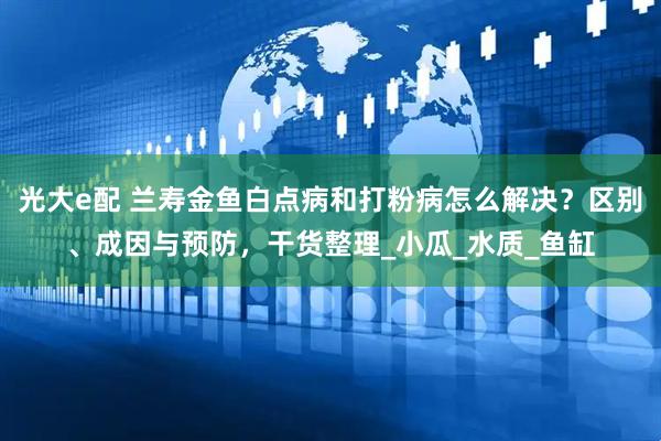 光大e配 兰寿金鱼白点病和打粉病怎么解决？区别、成因与预防，干货整理_小瓜_水质_鱼缸