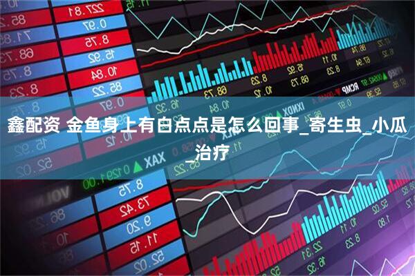 鑫配资 金鱼身上有白点点是怎么回事_寄生虫_小瓜_治疗