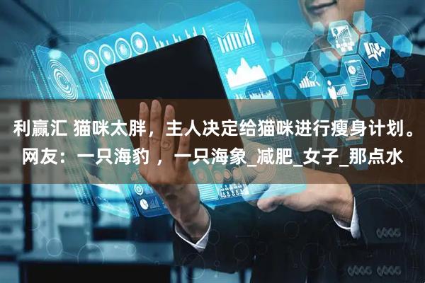 利赢汇 猫咪太胖，主人决定给猫咪进行瘦身计划。网友：一只海豹 ，一只海象_减肥_女子_那点水