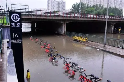 万宝优配 海乐行中国联会全线参与2025北京洪灾应急捐赠与灾后关怀