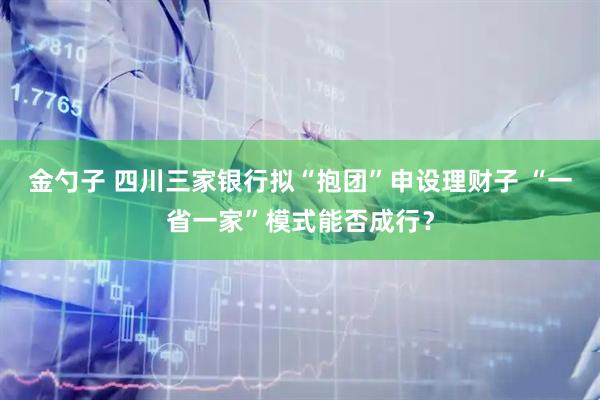 金勺子 四川三家银行拟“抱团”申设理财子 “一省一家”模式能否成行？