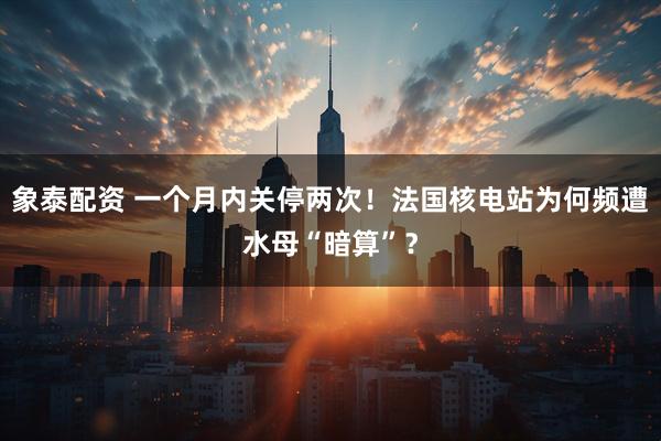 象泰配资 一个月内关停两次！法国核电站为何频遭水母“暗算”？