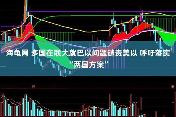 海龟网 多国在联大就巴以问题谴责美以 呼吁落实“两国方案”